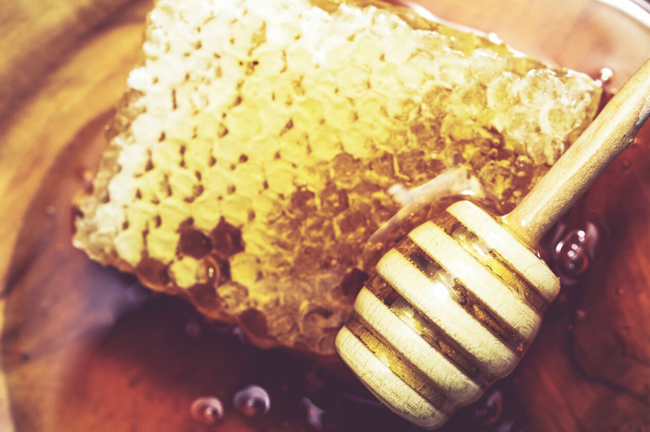 Live Bee Honey